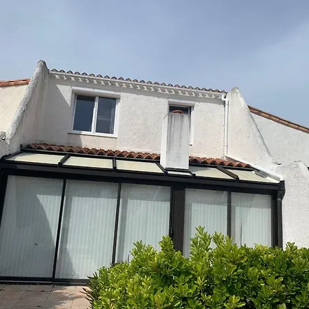 Camelia * Saint-Jean-de-Monts