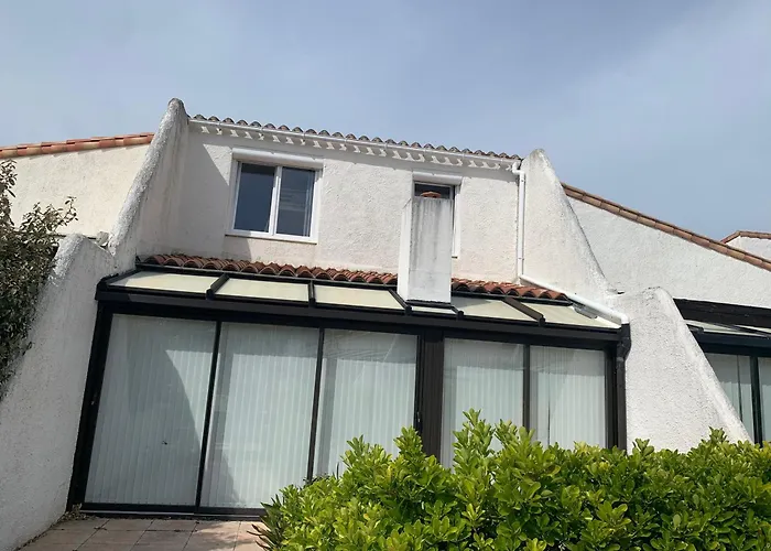 Camelia * Saint-Jean-de-Monts